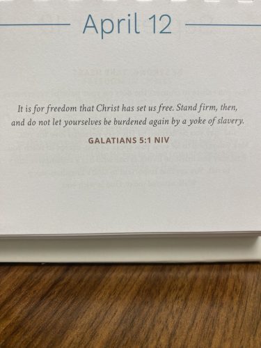 Counselor-Corpus-Christi-Texas-5-13-26-006